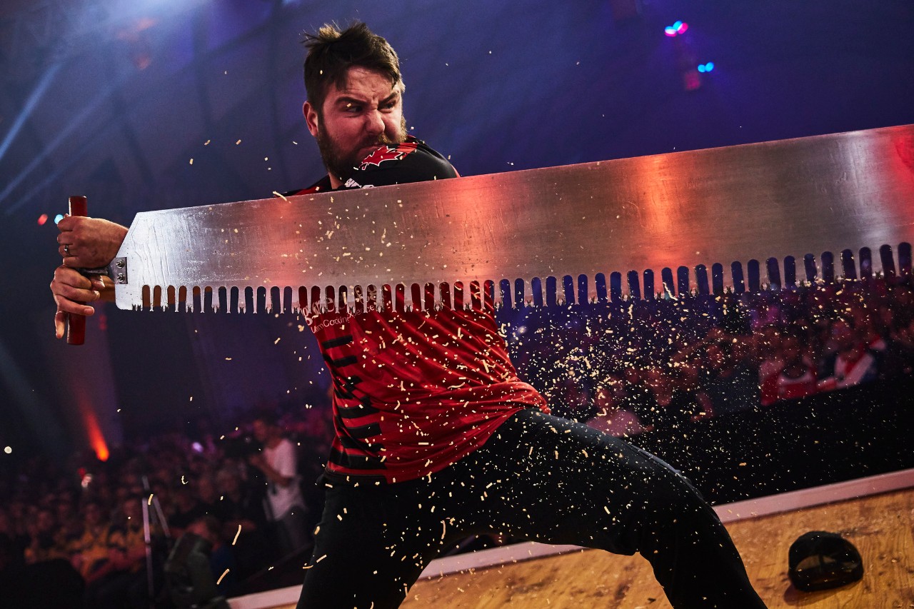 Timbersports Sajtóterület
